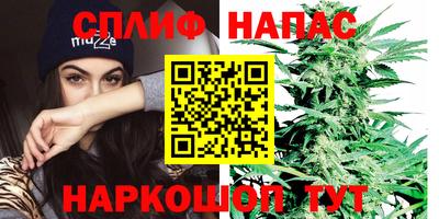 гидропоника Гагарин