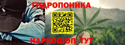 винт Гай
